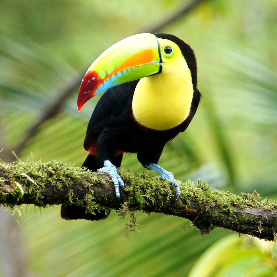 travel-gallery-pic-1
